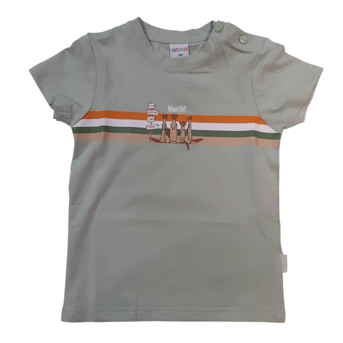 Ativo T-Shirt Bambino Verde In Cotone ND2576 - DarSaGiocattoli