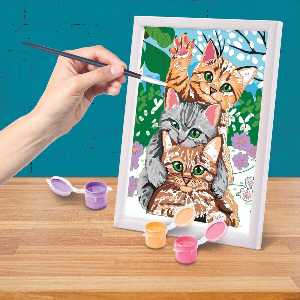 Cornice Funny Kitties Con Colori AS Company 1038 - 41010 - 5203068410100 - DarSaGiocattoli