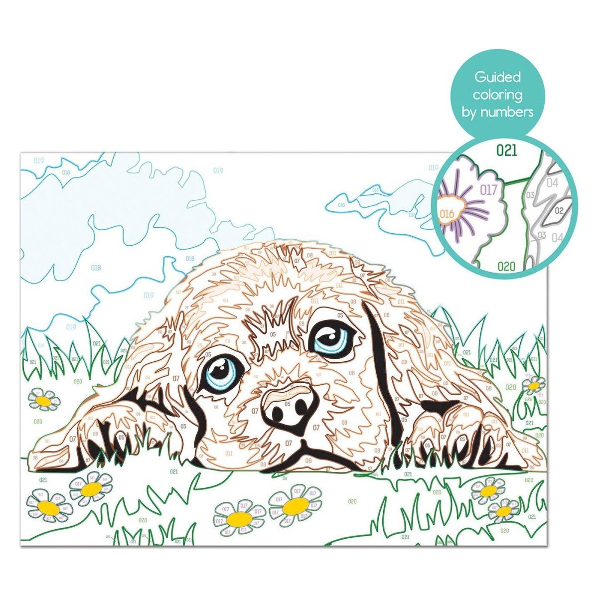 Cornice Loving Puppy Con Colori AS Company 1038 - 41012 - 5203068410124 - DarSaGiocattoli