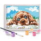 Cornice Loving Puppy Con Colori AS Company 1038 - 41012 - 5203068410124 - DarSaGiocattoli