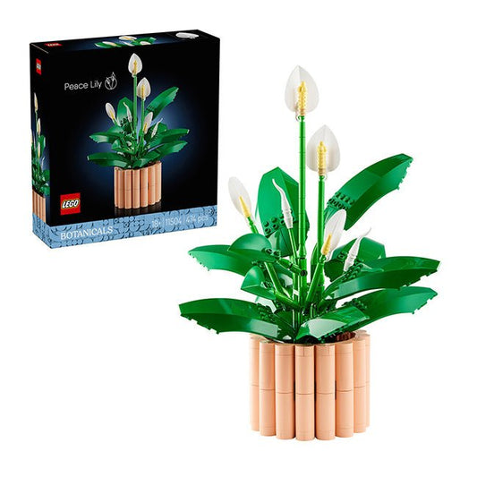 Lego Botanicals Boutique Spatifillo 474 Pezzi 18+ Anni 11504 - 5702018031858 - DarSaGiocattoli