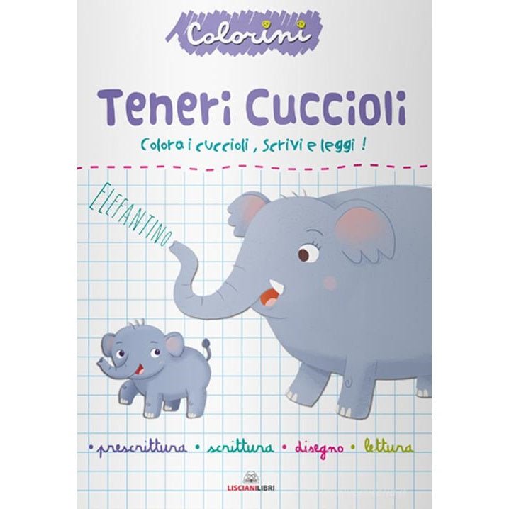 Liscianilibri Teneri cuccioli. Prescrittura. Colorini. Ediz. a colori: Vol. 2 - 9788892810938 - DarSaGiocattoli